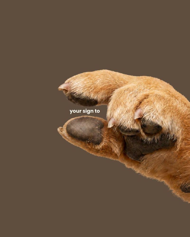 “your sign to” — slide two of a paw teaser