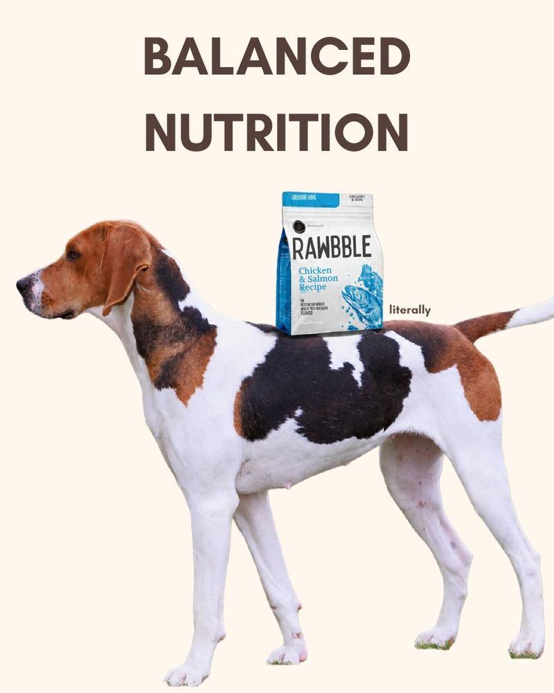 “Balanced nutrition, literally” dog food post