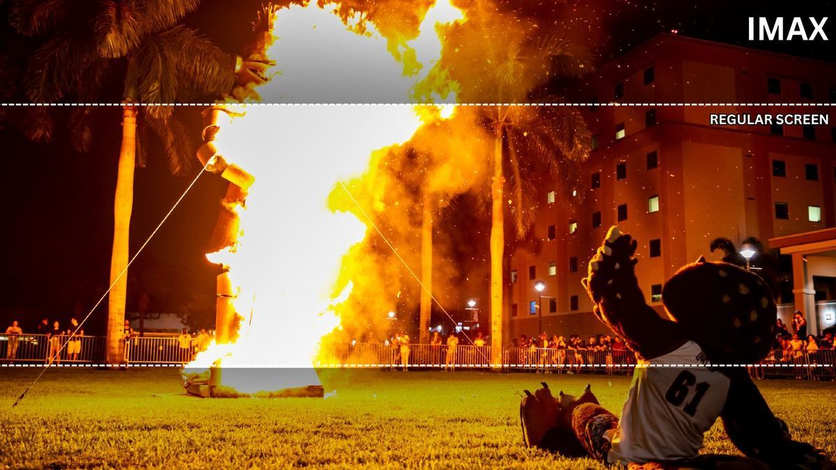 Homecoming bonfire with Owlsley
