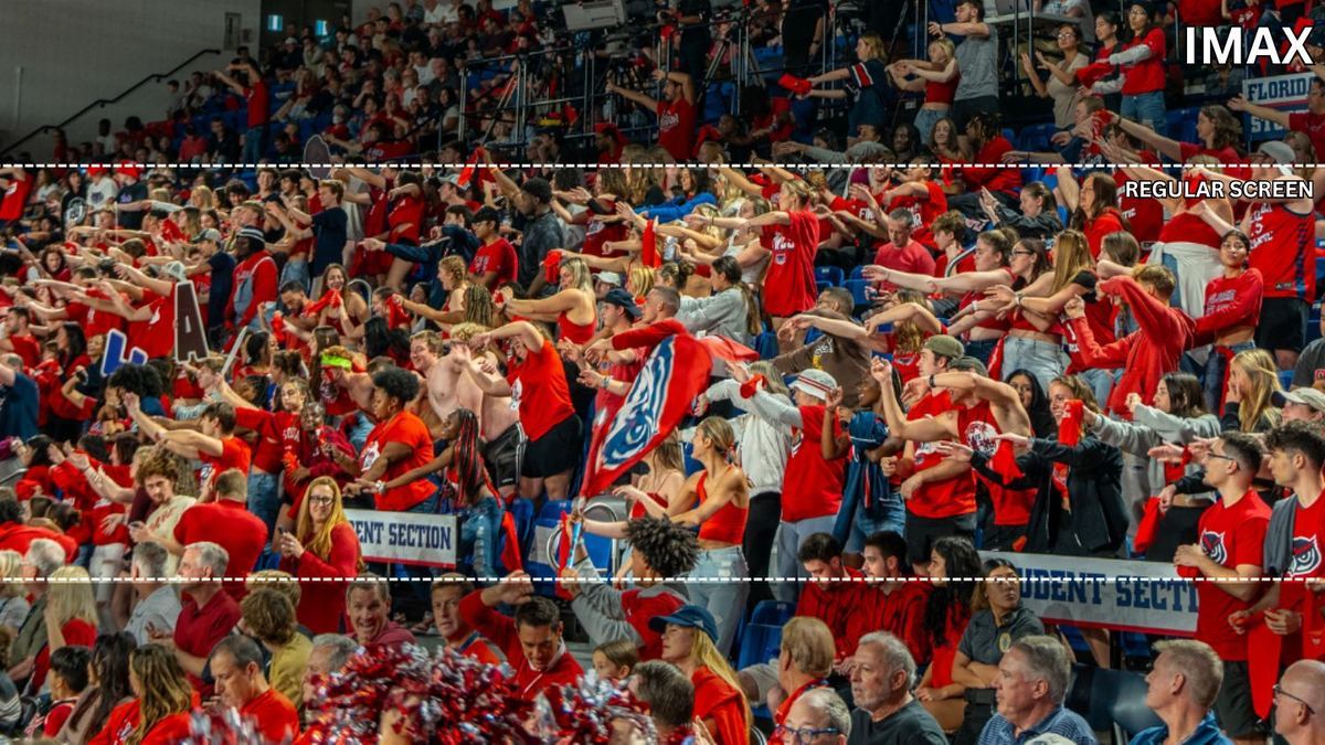 Fans in the student section